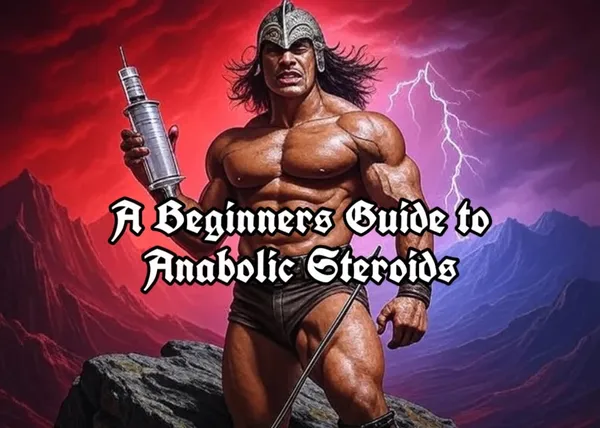A Beginners Guide to Anabolic Steroids